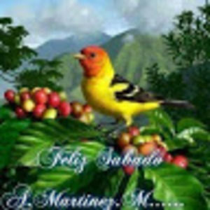 Meet your Posher, Alfonso